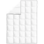Edredón de plumón de invierno 2 unidades 155x220 cm by vidaXL, Bedspreads and duvets - Ref: Foro24-132889, Price: 82,84 €, Di...