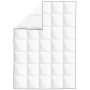 Edredón de plumón de invierno 2 unidades 155x220 cm by vidaXL, Bedspreads and duvets - Ref: Foro24-132889, Price: 80,30 €, Di...