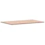 Rechteckige Platte aus massivem Buchenholz 100x60x1,5 cm von , Tischplatten - Ref: Foro24-3188881, Preis: 60,97 €, Rabatt: %