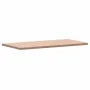 Arbeitsplatte aus massivem Buchenholz für das Badezimmer 100x50x2,5 cm von , Arbeitsplatten - Ref: Foro24-355989, Preis: 76,6...