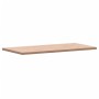 Arbeitsplatte aus massivem Buchenholz für das Badezimmer 100x50x2,5 cm von , Arbeitsplatten - Ref: Foro24-355989, Preis: 81,8...