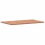Arbeitsplatte aus massivem Buchenholz 100x60x2,5 cm von , Arbeitsplatten - Ref: Foro24-356004, Preis: 102,44 €, Rabatt: %