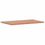 Encimera de baño madera maciza de haya 100x60x2,5 cm