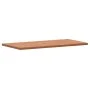 Massive Badezimmer-Arbeitsplatte aus Buchenholz 100x50x2,5 cm von , Arbeitsplatten - Ref: Foro24-356002, Preis: 84,53 €, Raba...