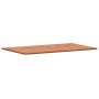 Encimera de baño madera maciza de haya 100x60x1,5 cm by , Countertops - Ref: Foro24-356000, Price: 58,55 €, Discount: %