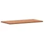 Rectangular solid beech wood board 100x50x2.5 cm by , Table tops - Ref: Foro24-3188894, Price: 84,10 €, Discount: %