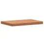 Badezimmerarbeitsplatte aus massivem Buchenholz, 80 x 40 x 4 cm von , Arbeitsplatten - Ref: Foro24-356005, Preis: 94,17 €, Ra...
