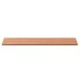 Encimera de baño madera maciza de haya 100x50x1,5 cm de , Encimeras - Ref: Foro24-355998, Precio: 51,05 €, Descuento: %