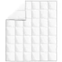 Daunendecke Winter 200x220 cm von vidaXL, Tagesdecken und Bettdecken - Ref: Foro24-132884, Preis: 87,85 €, Rabatt: %