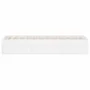 Estructura de cama blanco 120x190 cm de vidaXL, Camas y somieres - Ref: Foro24-3203894, Precio: 191,01 €, Descuento: %