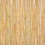 Valla de bambú 300x100 cm de vidaXL, Paneles de vallas - Ref: Foro24-142683, Precio: 100,50 €, Descuento: %