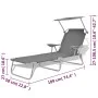 Sun lounger with gray steel awning by vidaXL, Loungers - Ref: Foro24-42934, Price: 95,82 €, Discount: %