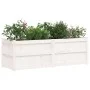 Solid white pine wood planter 150x50x50 cm by vidaXL, Pots and planters - Ref: Foro24-837485, Price: 120,77 €, Discount: %