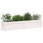 Massive weiße Kiefernholz-Pflanzschale 150x31x31 cm von vidaXL, Töpfe und Pflanzgefäße - Ref: Foro24-837476, Preis: 88,12 €, ...