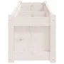 Massive weiße Kiefernholz-Pflanzschale 150x31x31 cm von vidaXL, Töpfe und Pflanzgefäße - Ref: Foro24-837476, Preis: 88,12 €, ...