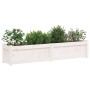 Outdoor planters 2 units solid white pine wood by vidaXL, Pots and planters - Ref: Foro24-837477, Price: 189,61 €, Discount: %