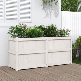 Pflanzgefäß aus massivem Weißkiefernholz, 150 x 50 x 70 cm von vidaXL, Töpfe und Pflanzgefäße - Ref: Foro24-837490, Preis: 19...