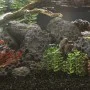 Black volcanic rocks 25 kg 10-30 cm by vidaXL, Aquarium decoration - Ref: Foro24-155326, Price: 66,74 €, Discount: %