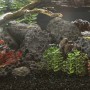 Schwarzes Vulkangestein 25 kg 10-30 cm von vidaXL, Aquariumdekoration - Ref: Foro24-155326, Preis: 84,39 €, Rabatt: %