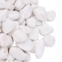 Guijarros pulidos blancos 25 kg 2-5 cm de vidaXL, Decoración de acuarios - Ref: Foro24-155330, Precio: 67,28 €, Descuento: %
