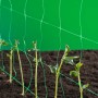Nature Green Rankennetz 1x10 m 6030429 von Nature, Spaliere und Pflanzenstützen - Ref: Foro24-419778, Preis: 14,91 €, Rabatt: %