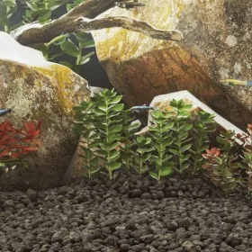 Black volcanic rocks 10 kg 5-8 cm by vidaXL, Aquarium decoration - Ref: Foro24-155321, Price: 32,26 €, Discount: %