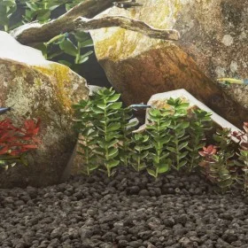Black volcanic rocks 25 kg 5-8 cm by vidaXL, Aquarium decoration - Ref: Foro24-155322, Price: 69,41 €, Discount: %