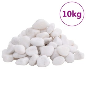 Guijarros pulidos blancos 10 kg 2-5 cm
