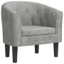 Sillón de terciopelo gris claro de vidaXL, Sillones - Ref: Foro24-356469, Precio: 162,73 €, Descuento: %