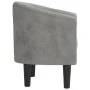 Sillón de terciopelo gris claro de vidaXL, Sillones - Ref: Foro24-356469, Precio: 162,73 €, Descuento: %