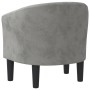 Hellgrauer Samtsessel von vidaXL, Sessel - Ref: Foro24-356469, Preis: 173,77 €, Rabatt: %