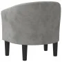 Sillón de terciopelo gris claro de vidaXL, Sillones - Ref: Foro24-356469, Precio: 162,73 €, Descuento: %