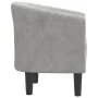Sillón de terciopelo gris claro de vidaXL, Sillones - Ref: Foro24-356441, Precio: 158,07 €, Descuento: %
