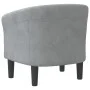 Dunkelgraues Samtsofa von vidaXL, Sessel - Ref: Foro24-356442, Preis: 158,62 €, Rabatt: %