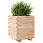Jardinera madera maciza de pino 40x40x49,5 cm