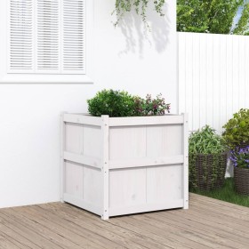 Pflanzgefäß aus massivem Weißkiefernholz, 70 x 70 x 70 cm von , Töpfe und Pflanzgefäße - Ref: Foro24-837435, Preis: 99,37 €, ...