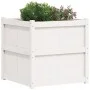 Pflanzgefäß aus massivem Weißkiefernholz, 70 x 70 x 70 cm von , Töpfe und Pflanzgefäße - Ref: Foro24-837435, Preis: 98,43 €, ...