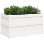 Pflanzgefäß aus massivem Weißkiefernholz, 90 x 50 x 50 cm von , Töpfe und Pflanzgefäße - Ref: Foro24-837461, Preis: 74,22 €, ...