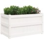 Pflanzgefäß aus massivem Weißkiefernholz, 90 x 50 x 50 cm von , Töpfe und Pflanzgefäße - Ref: Foro24-837461, Preis: 74,72 €, ...