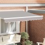 Valance de toldo Gris claro 2.8 x 0.2 m Lona