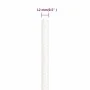Intense white polypropylene boat rope 12 mm 25 m by , Ropes and metal cords - Ref: Foro24-152564, Price: 18,66 €, Discount: %