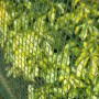 Nature Square Garden Screening Mesh Green 20x20 mm 1x3 m by , fence panels - Ref: Foro24-419794, Price: 45,57 €, Discount: %