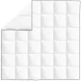 Edredón de plumón de invierno 200x200 cm de vidaXL, Colchas y edredones - Ref: Foro24-132883, Precio: 51,81 €, Descuento: %
