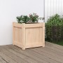 Pflanzgefäß aus massivem Kiefernholz, 40 x 40 x 40 cm von , Töpfe und Pflanzgefäße - Ref: Foro24-837404, Preis: 39,19 €, Raba...