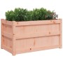 Pflanzgefäße für den Garten 2 Einheiten Massivholz Douglasie von , Töpfe und Pflanzgefäße - Ref: Foro24-837466, Preis: 135,59...