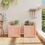 Pflanzgefäße für den Garten 2 Einheiten Massivholz Douglasie von , Töpfe und Pflanzgefäße - Ref: Foro24-837411, Preis: 63,19 ...