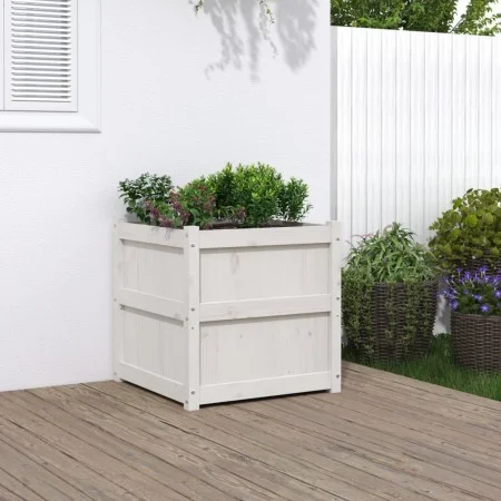Jardinera madera maciza de pino blanco 60x60x60 cm de , Maceteros y jardineras - Ref: Foro24-837426, Precio: 78,48 €, Descuen...