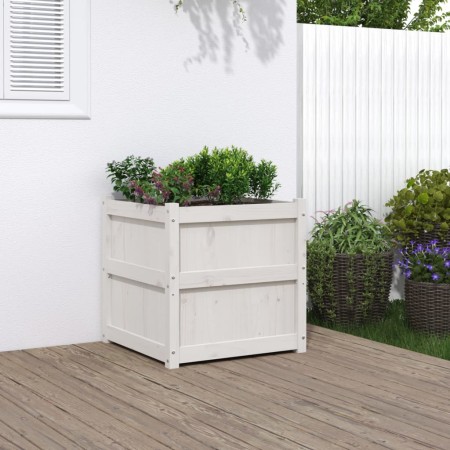 Pflanzkübel aus massivem Kiefernholz weiß 60x60x60 cm von , Töpfe und Pflanzgefäße - Ref: Foro24-837426, Preis: 79,30 €, Raba...