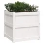 Jardinera madera maciza de pino blanco 60x60x60 cm de , Maceteros y jardineras - Ref: Foro24-837426, Precio: 78,48 €, Descuen...