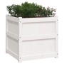 Pflanzkübel aus massivem Kiefernholz weiß 60x60x60 cm von , Töpfe und Pflanzgefäße - Ref: Foro24-837426, Preis: 79,30 €, Raba...